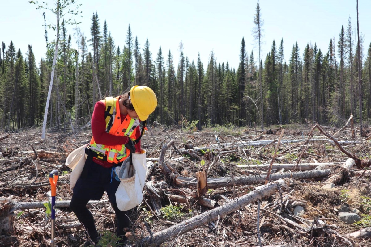 Le développement des ressources, une « arme à double tranchant pour les communautés autochtones » : panel