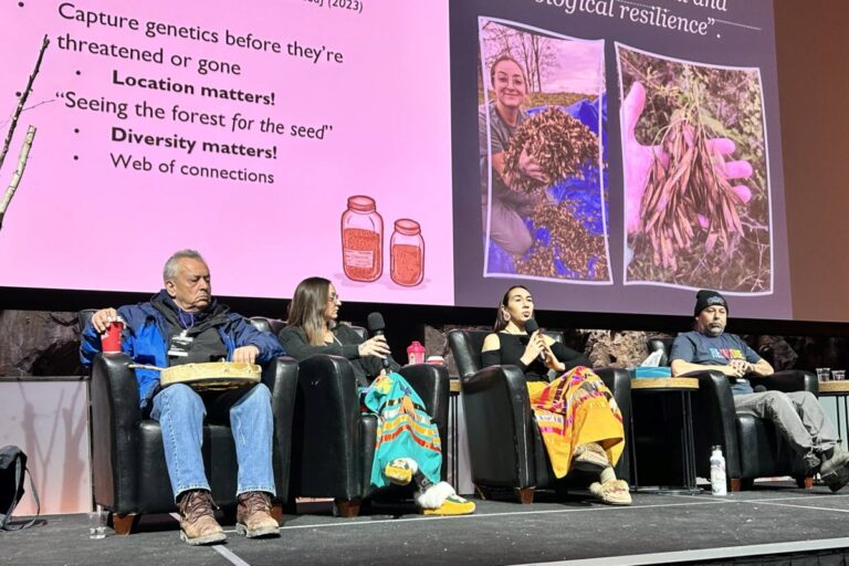 Les communautés autochtones cherchent à « raviver » la pratique traditionnelle des brûlages dirigés