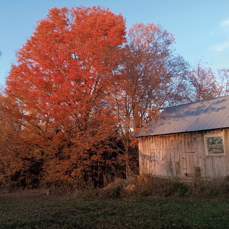 Un lieu de mariage du Vermont offre des réductions à ceux qui en ont besoin