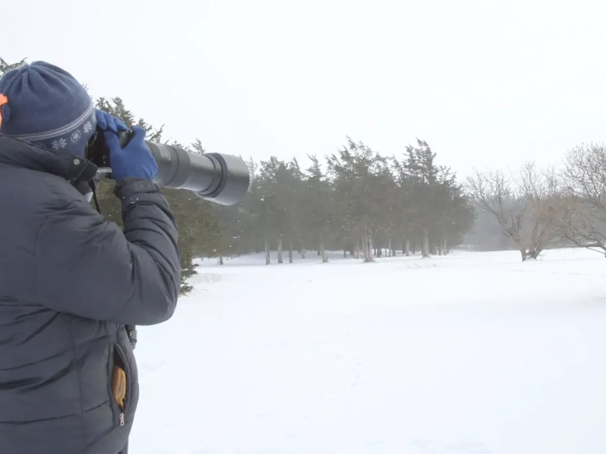 De l'actualité à la nature, la photographie de Rob Swanson (SIV517)