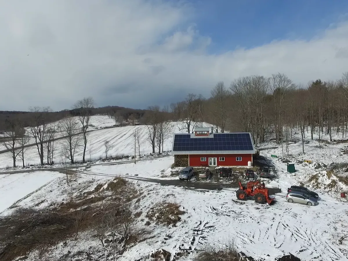 Érable de Silloway (SIV528)