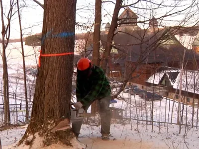 Exploitation forestière Lavigne aux Fermes Shelburne (297)