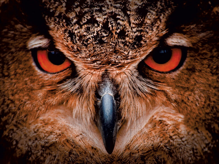 7 événements familiaux au Vermont pour le printemps 2026