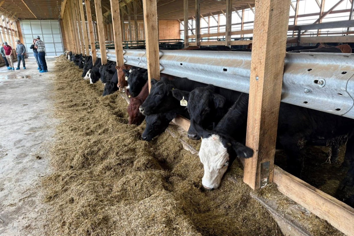 La province renforce un programme qui aide les vétérinaires ruraux à prodiguer des soins