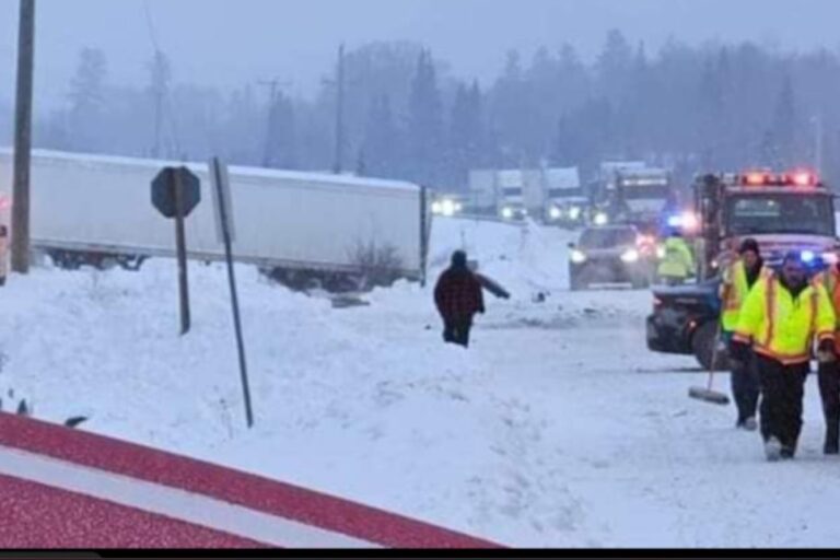Le député provincial de Timiskaming-Cochrane prévient que le système laisse circuler sur les autoroutes des camionneurs sous-formés