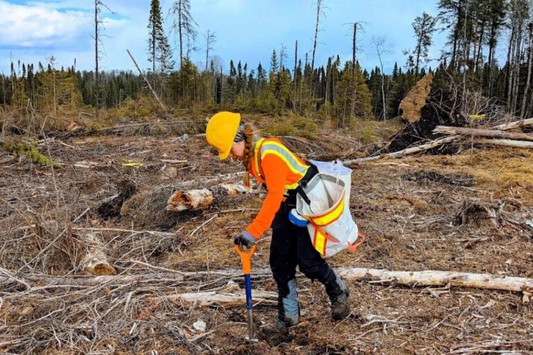 « Vous avez une voix » : les femmes du secteur forestier invitées à partager leurs talents