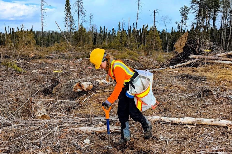 « Vous avez une voix » : les femmes du secteur forestier invitées à partager leurs talents