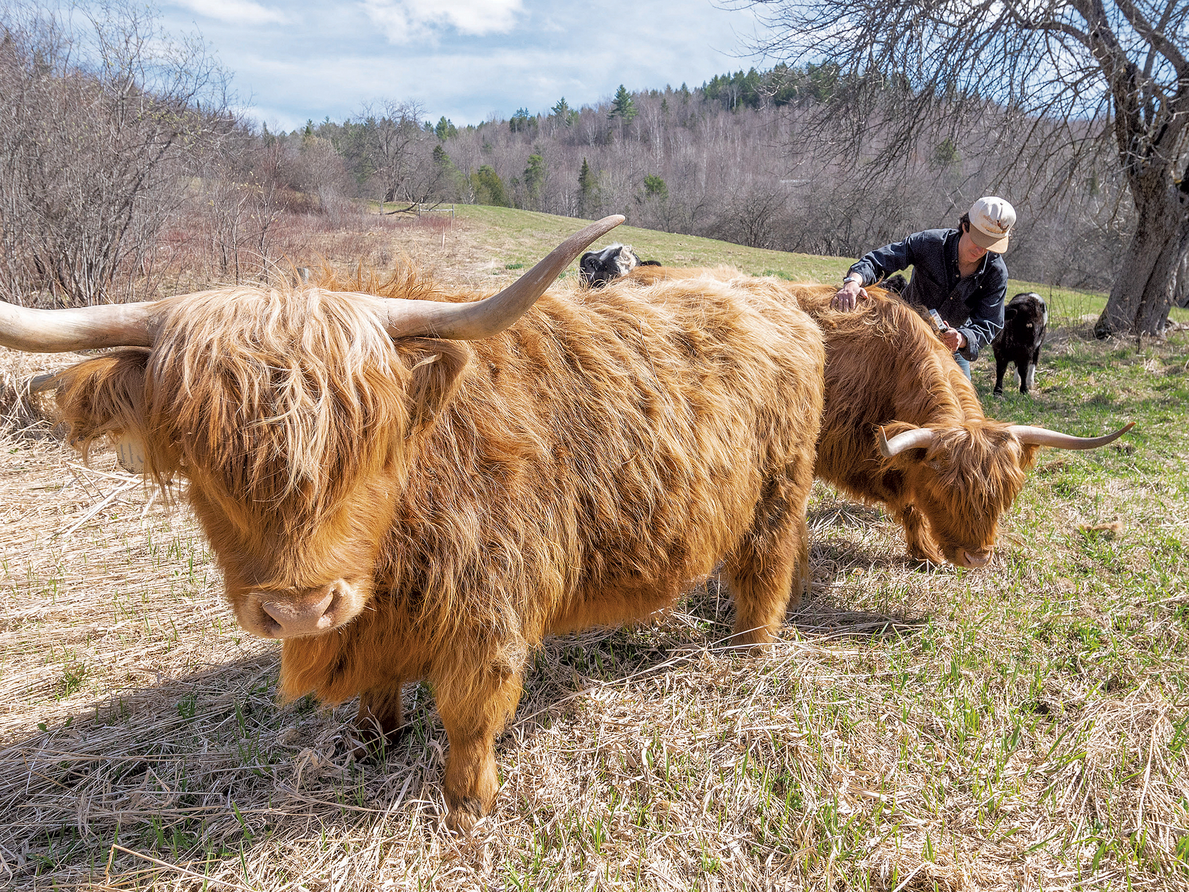 Après une révolte rurale, les démocrates sont favorables à l’annulation des réformes de la loi 250