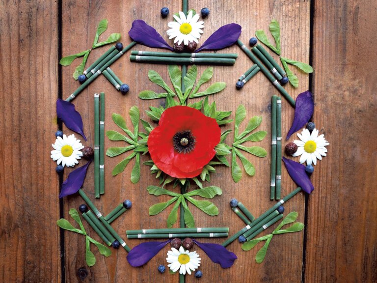 DIY : Comment rassembler et créer une décoration intérieure à base de plantes