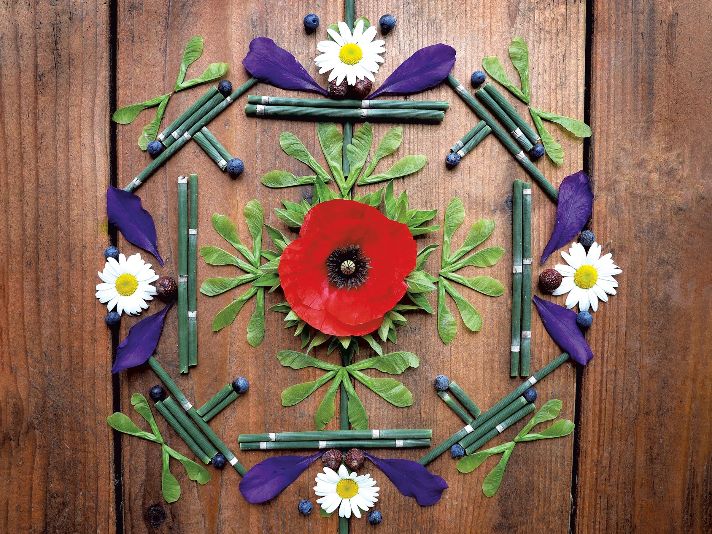 DIY : Comment rassembler et créer une décoration intérieure à base de plantes