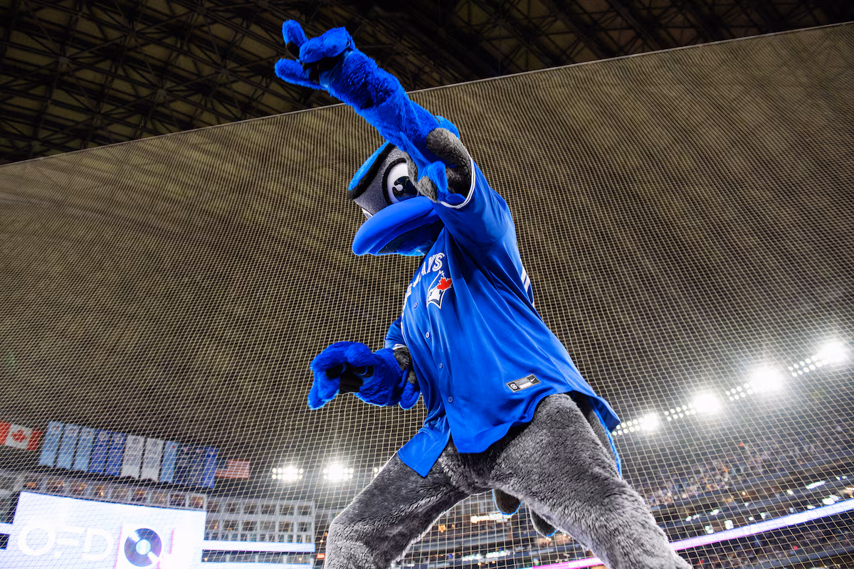 Découvrez comment la mascotte des Blue Jays, ACE, s'occupe du troupeau le jour du match