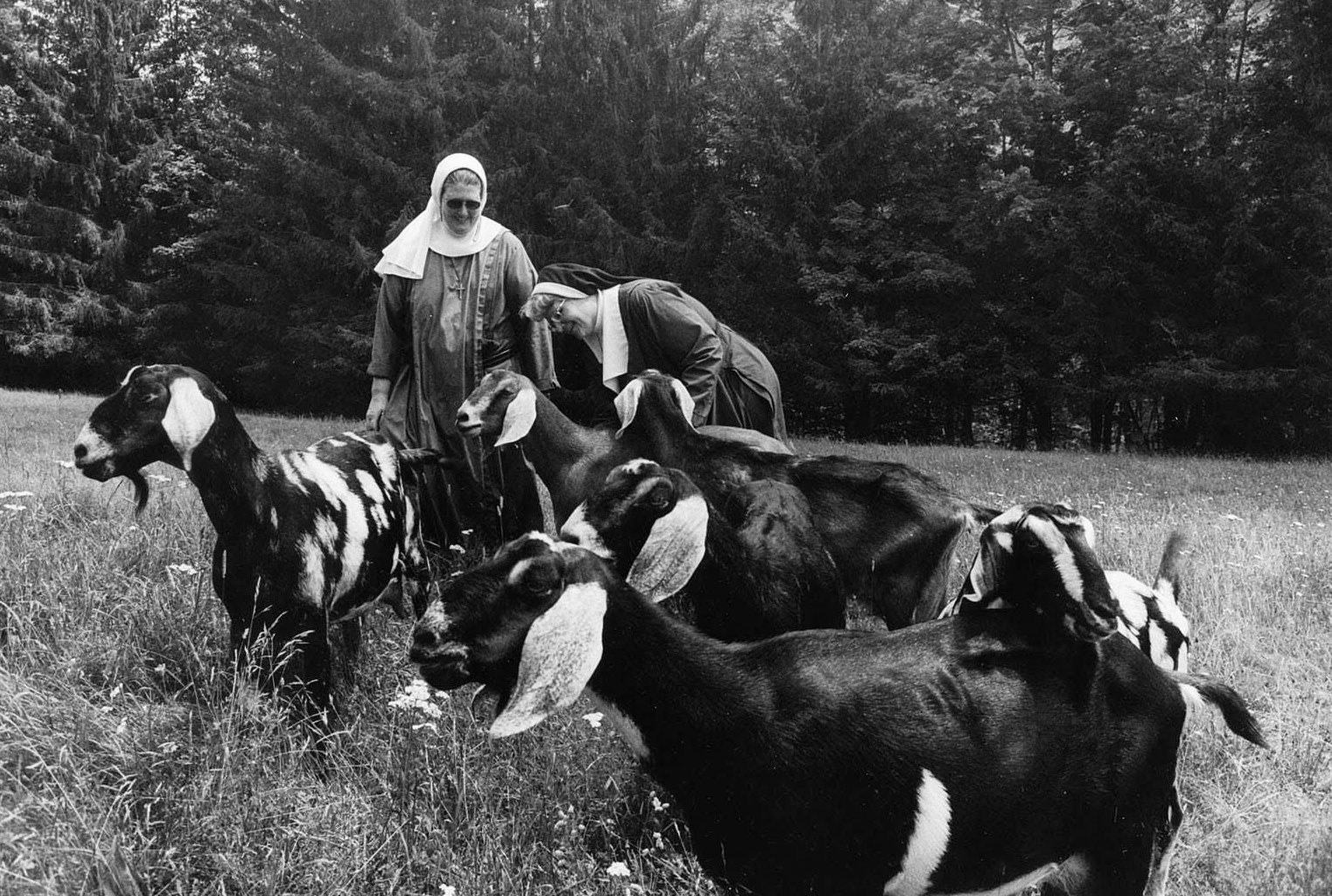Des femmes artistes se délectent de la vie rurale au Highland Centre for the Arts