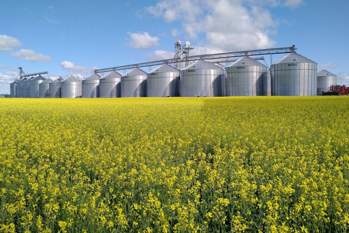 Le silo à grains de Temiskaming reçoit une aide provinciale de 1 M$