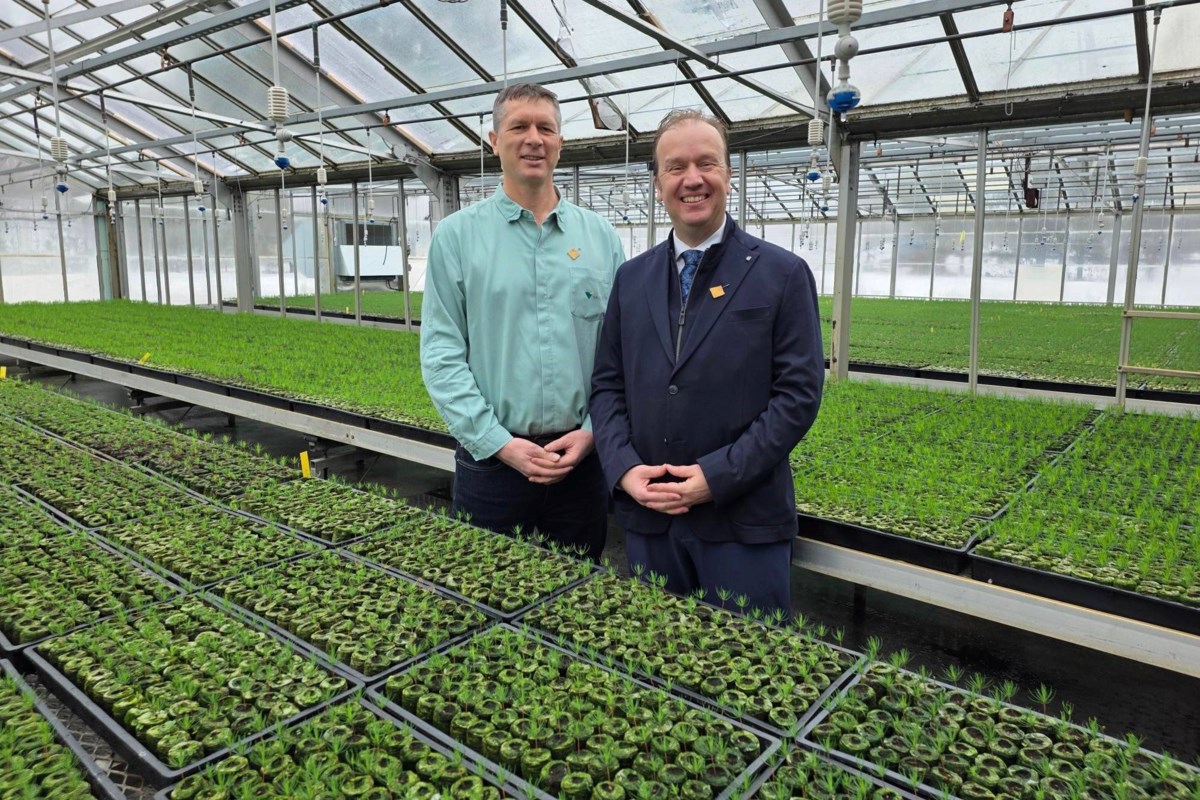 Sudbury et Vale concluent un accord de reverdissement de 3 millions de dollars