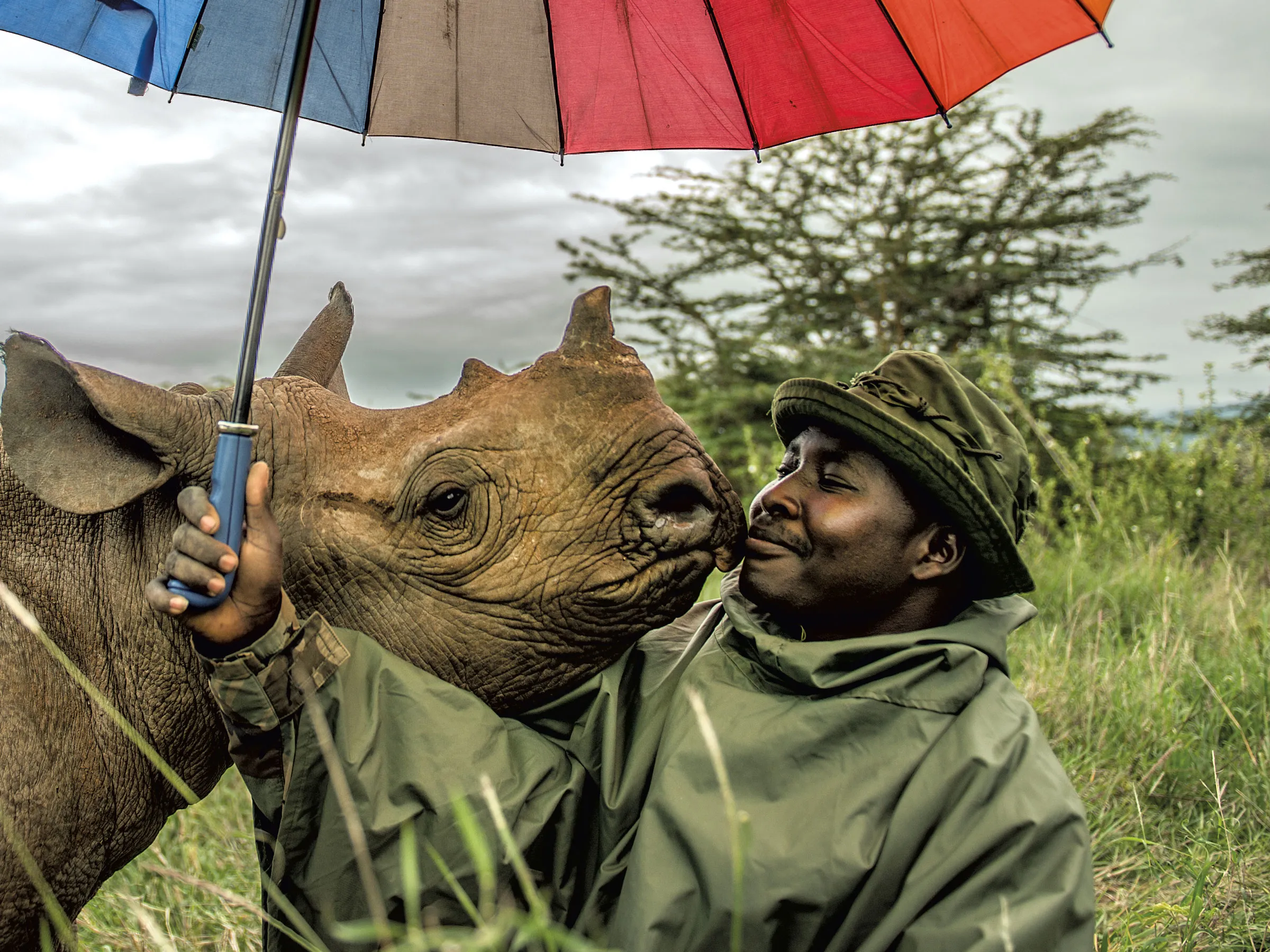 Vaut mille mots : la narration visuelle d'Ami Vitale