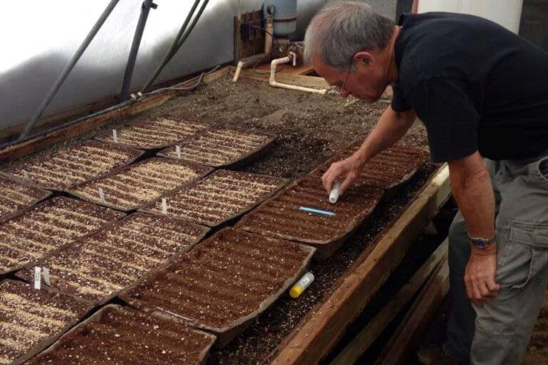 Aidie Creek Gardens est une entreprise conçue pour prospérer dans le climat nordique