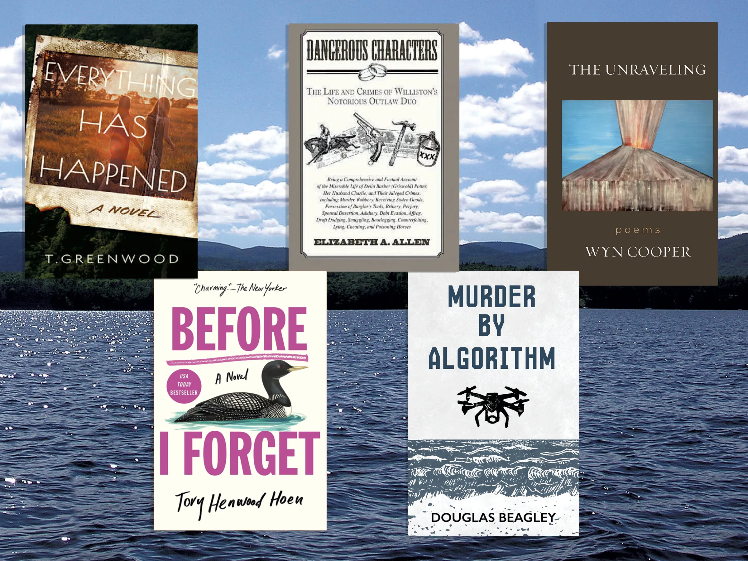 Critiques de livres du Vermont : Elizabeth A. Allen, Wyn Cooper et plus
