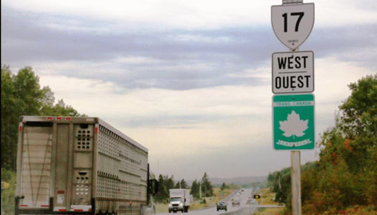 L'Association du camionnage de l'Ontario se joint aux municipalités pour faire pression en faveur de la modernisation des autoroutes