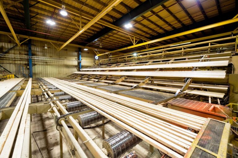 Le syndicat met en garde contre la nécessité de « stabiliser » le secteur forestier alors que la guerre commerciale se prolonge
