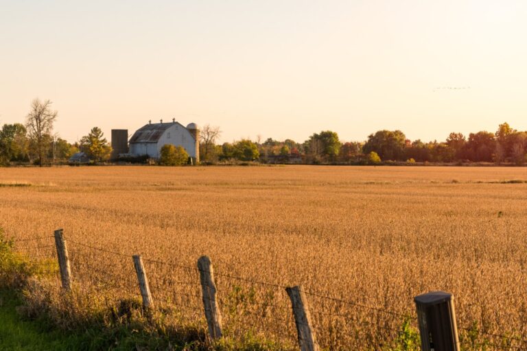 L'engagement d'Alto envers les communautés rurales