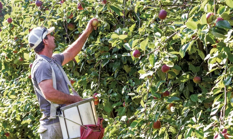 Scott signe l'interdiction du paraquat, un herbicide toxique