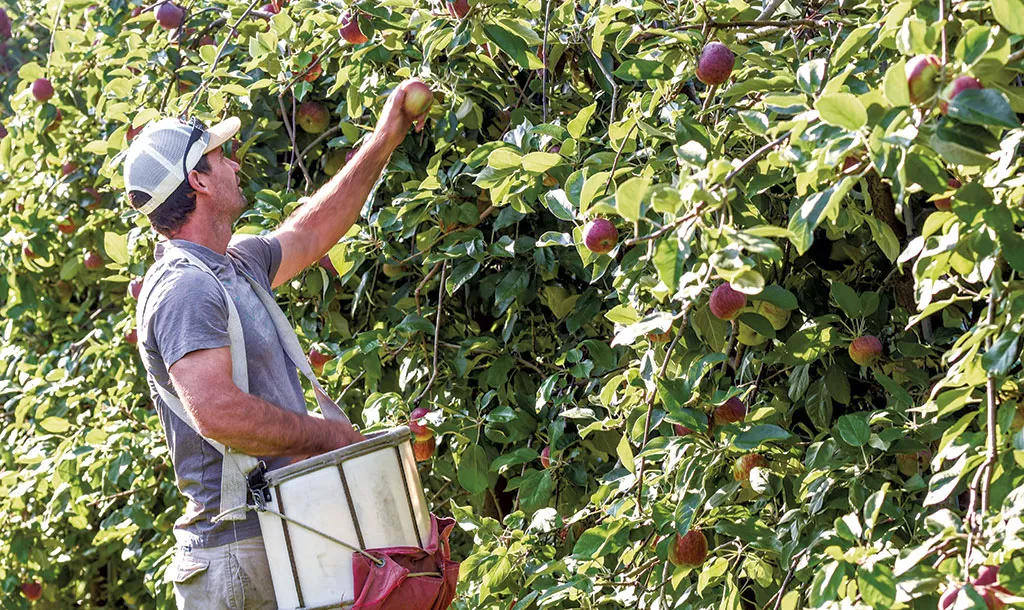 Scott signe l'interdiction du paraquat, un herbicide toxique