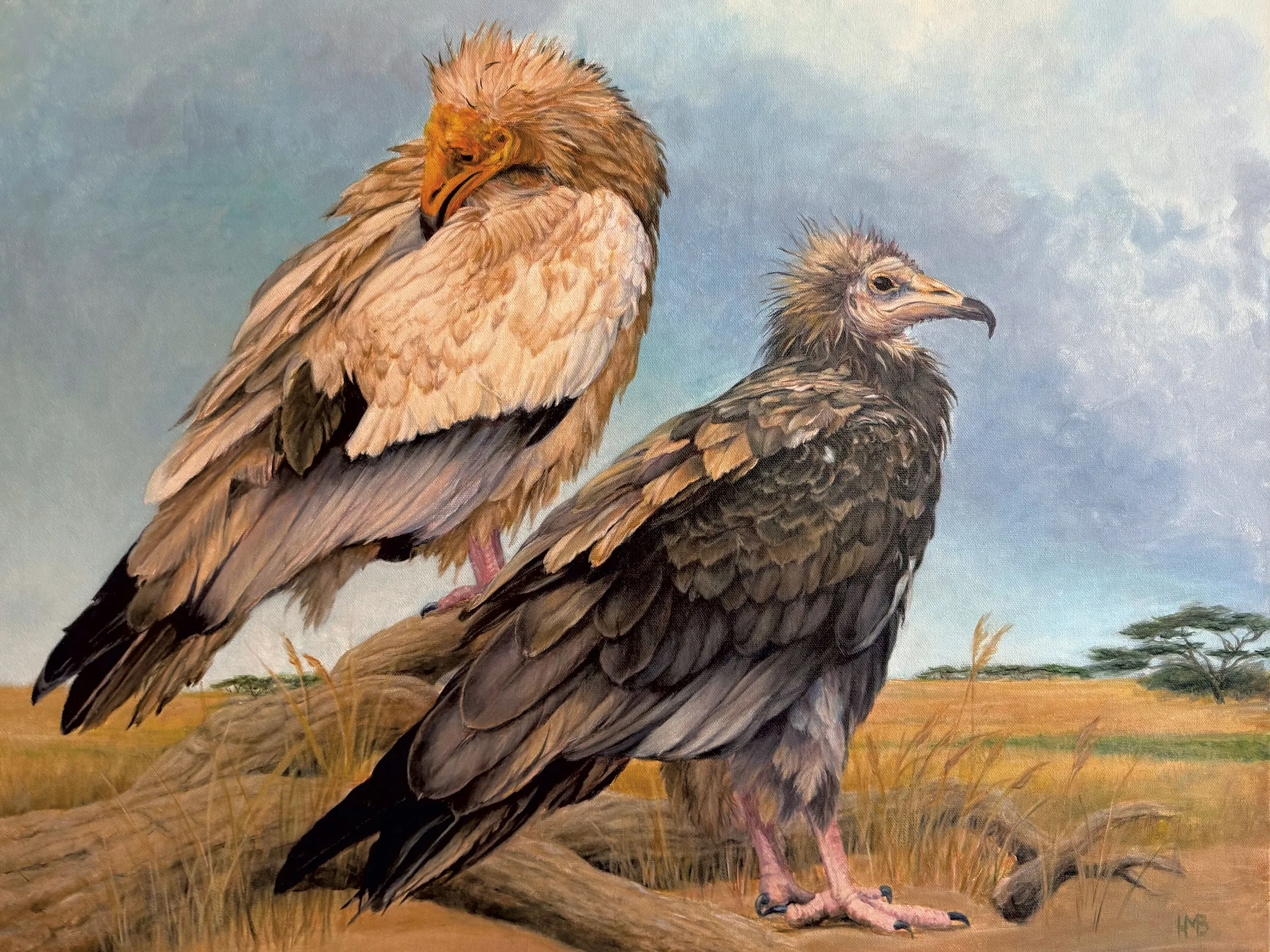 Événement au niveau de l'extinction : une exposition d'art à Montpellier représente des oiseaux en voie de disparition